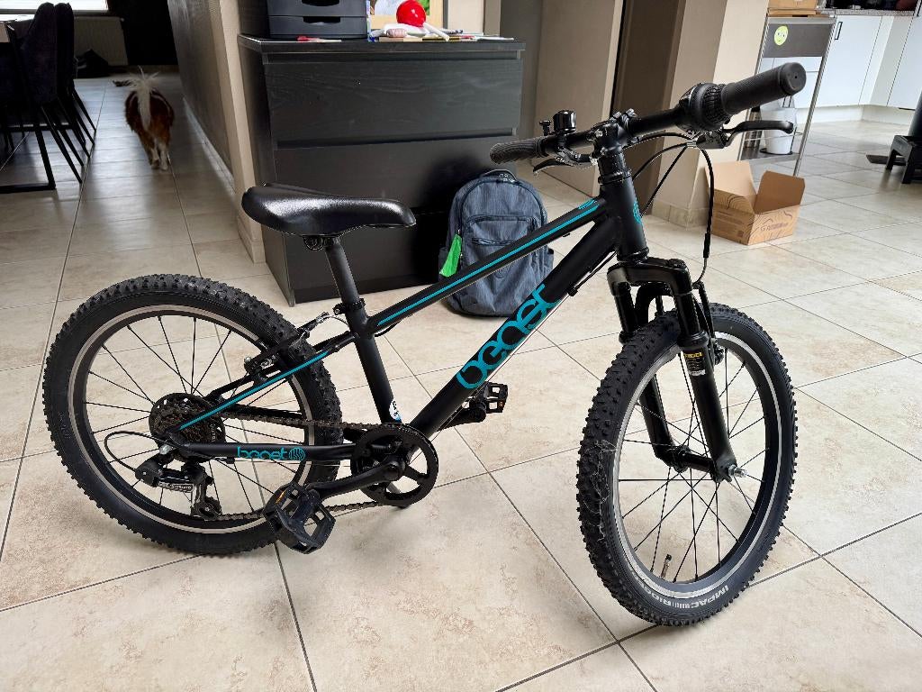 Kindermountainbike 20" The Beast, Fietsen en Brommers, Ophalen, Gebruikt, Bike fun, Versnellingen