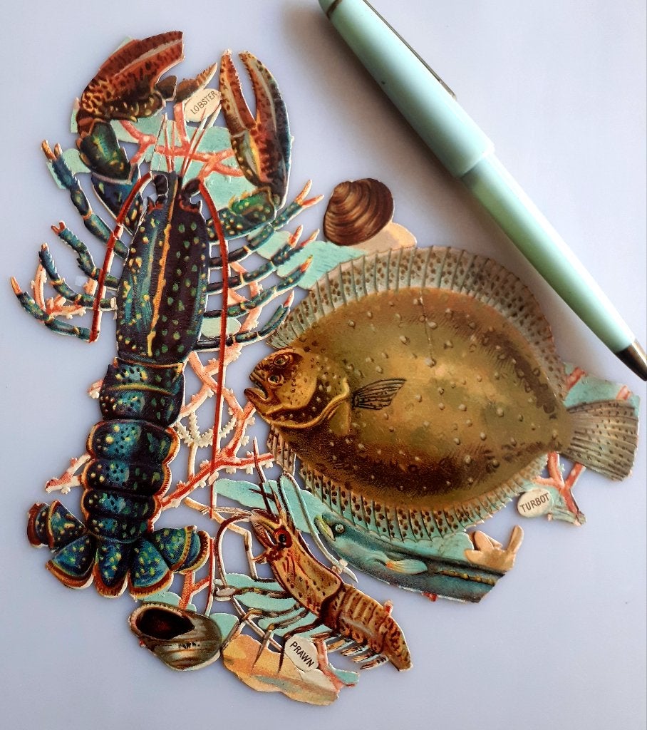 LOT DECOUPIS VICTORIENS : homard/crevette etc./pré-1900, Hobby & Loisirs créatifs, Scrapbooking, Enlèvement ou Envoi, Utilisé