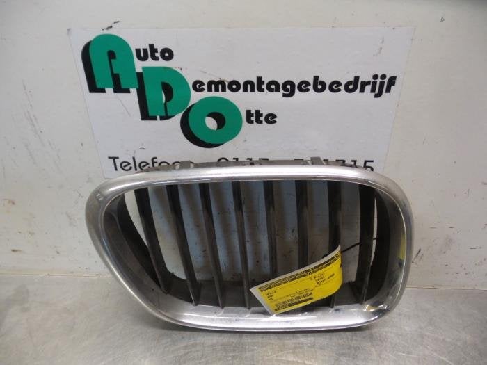 Grille van een BMW X5, Gebruikt, -, -, Ophalen of Verzenden