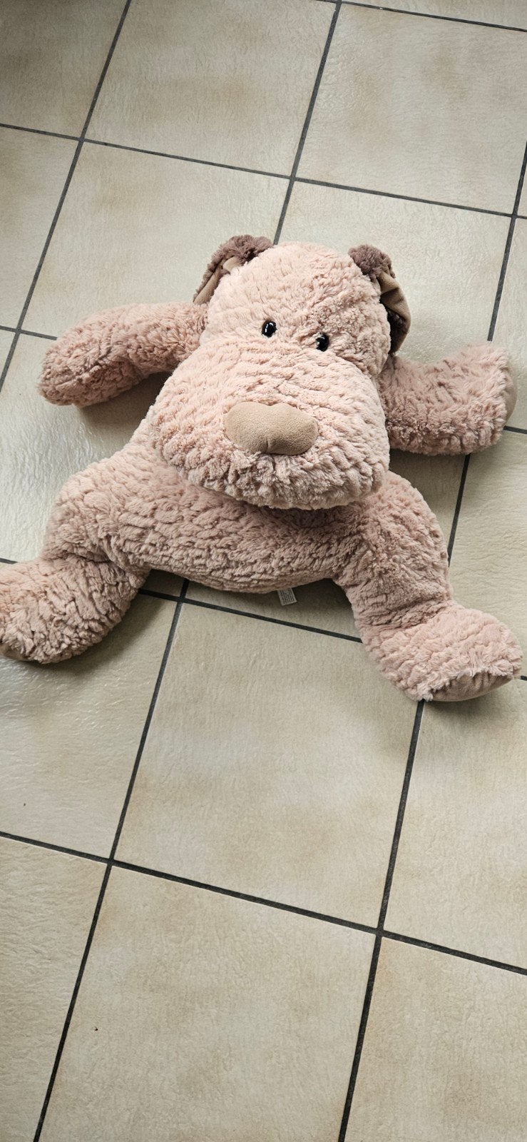Knuffel, Ophalen, Hond
