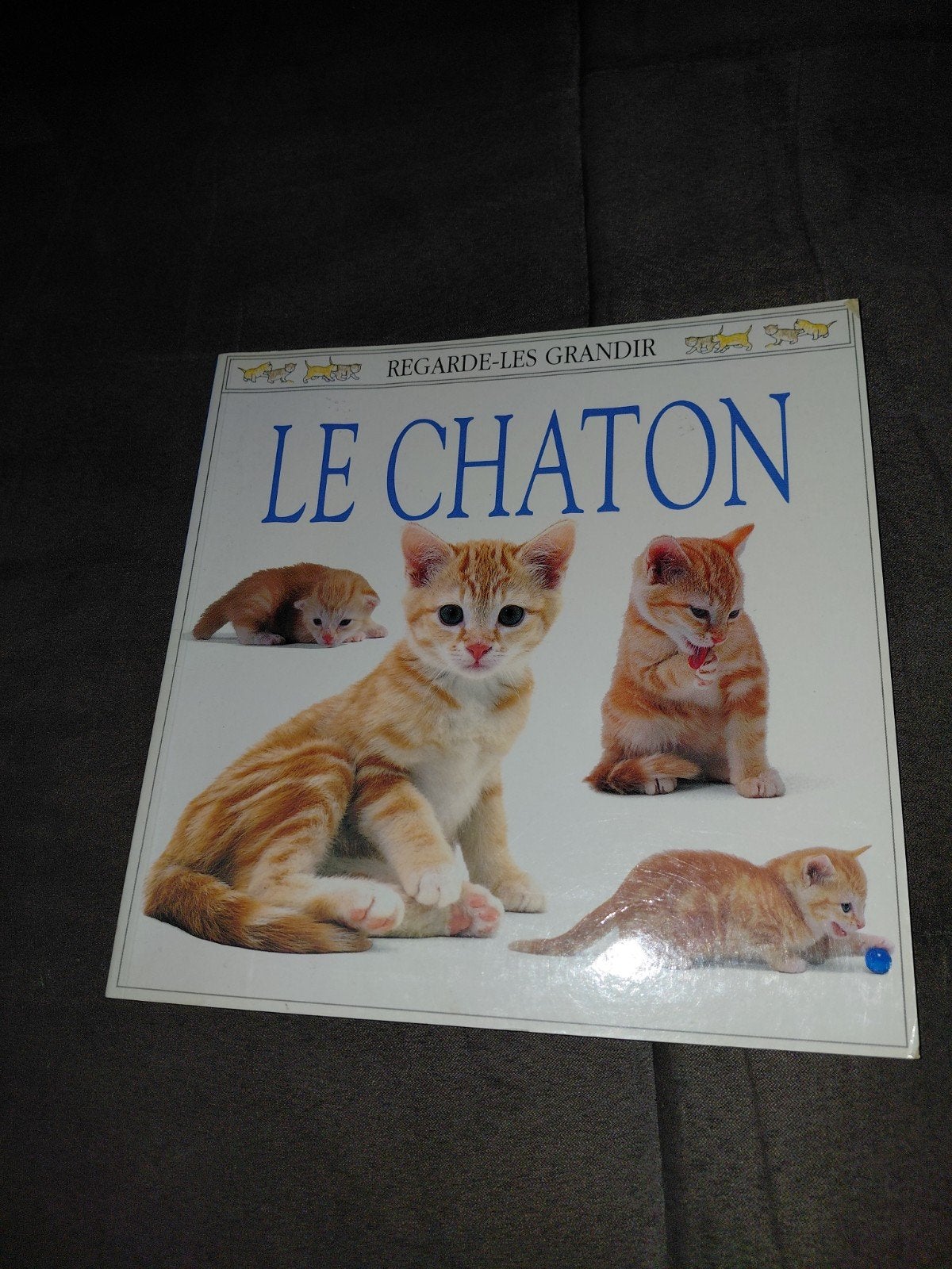 livre le chaton, Enlèvement