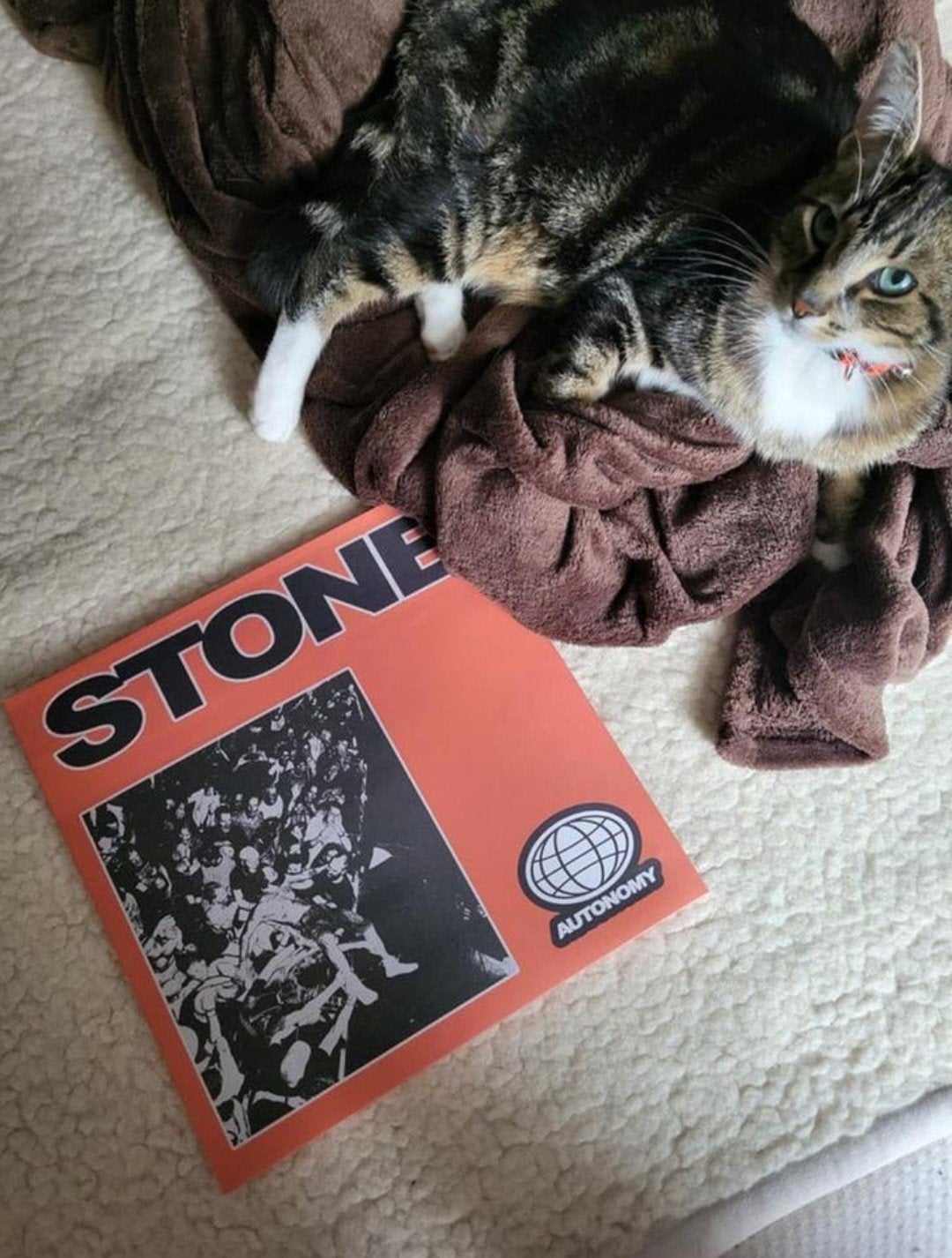 Vinylplaat STONE + t-shirt, CD & DVD, Vinyles | Rock, LP, Pop rock, Enlèvement, Neuf, dans son emballage