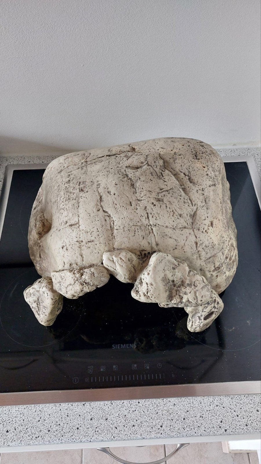 grotte aux tortues, Enlèvement