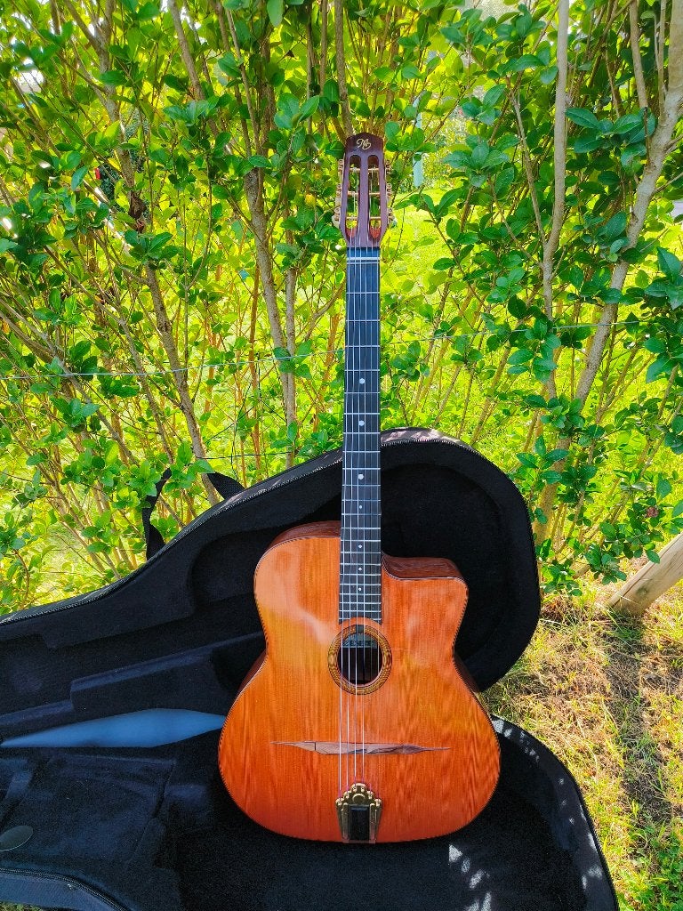 Gypsy Jazz-gitaar, Muziek en Instrumenten, Ophalen, Gebruikt, Overige typen