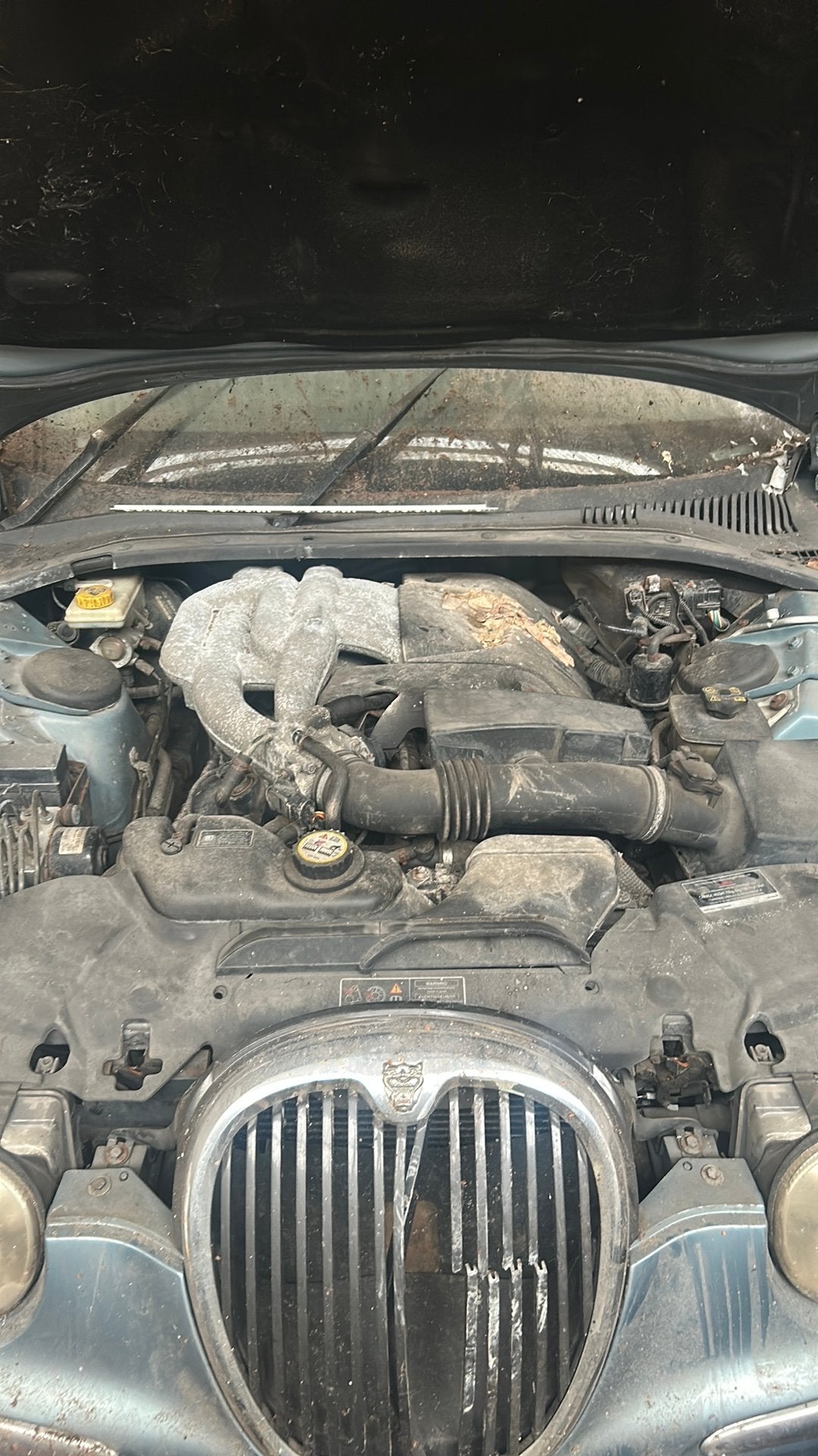 Jaguar S type, Enlèvement ou Envoi, Jaguar