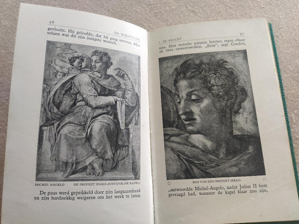 boek: het leven van Michel Angelo + Het complete werk, Enlèvement ou Envoi, Utilisé, Peinture et dessin