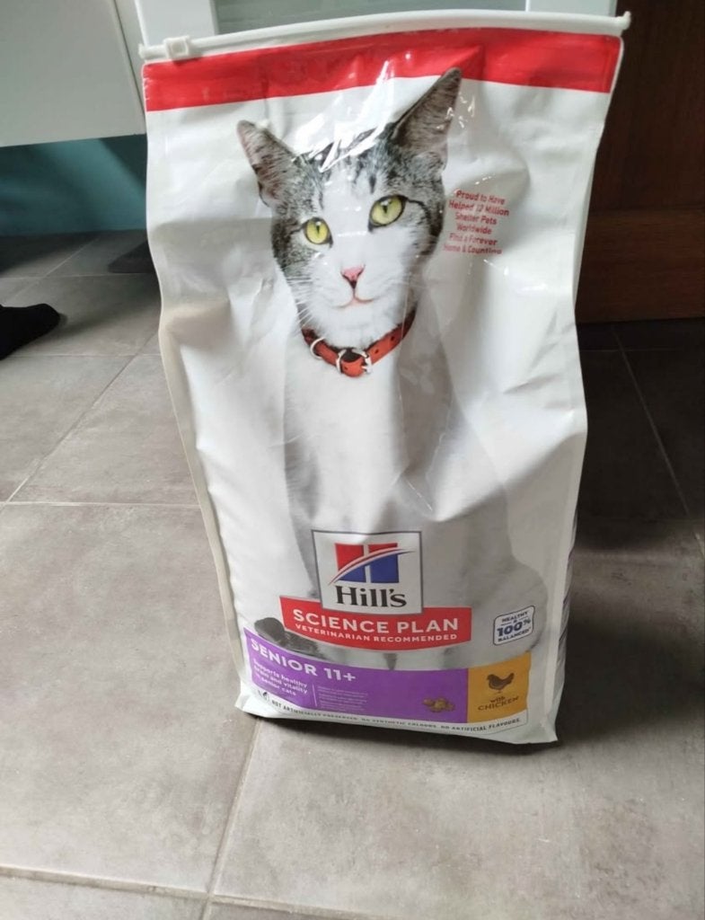 Croquettes chat, Enlèvement, Chat
