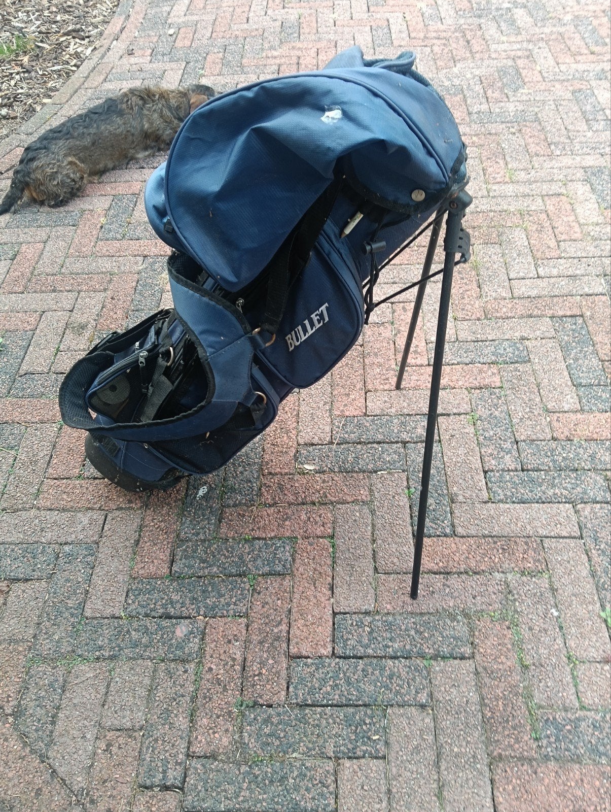 Sac de golf léger, Enlèvement ou Envoi