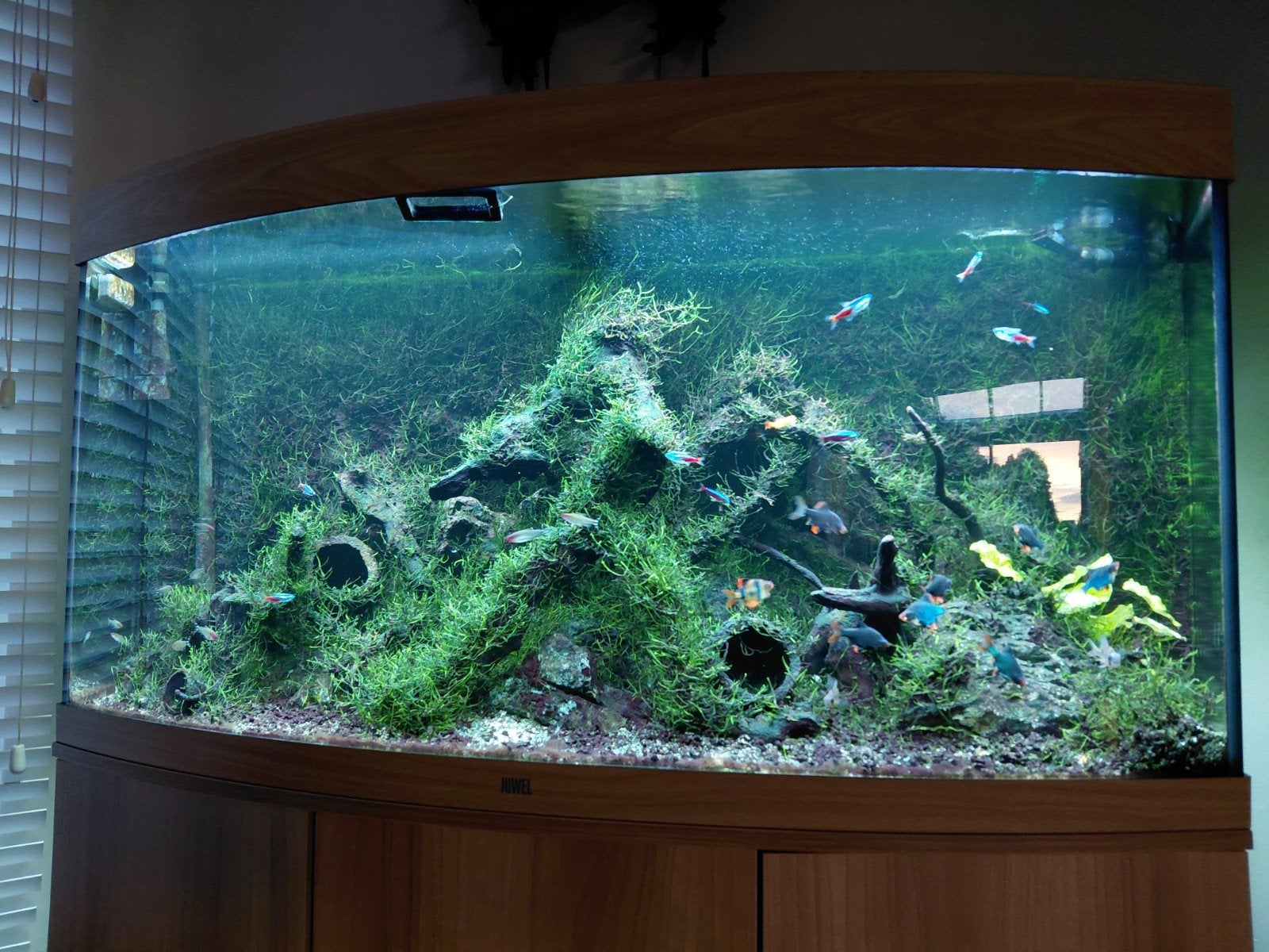 Juwel Vision 260 Aquarium + Meubel & Oase Buitenfilter, Enlèvement, Pompe, Juwel