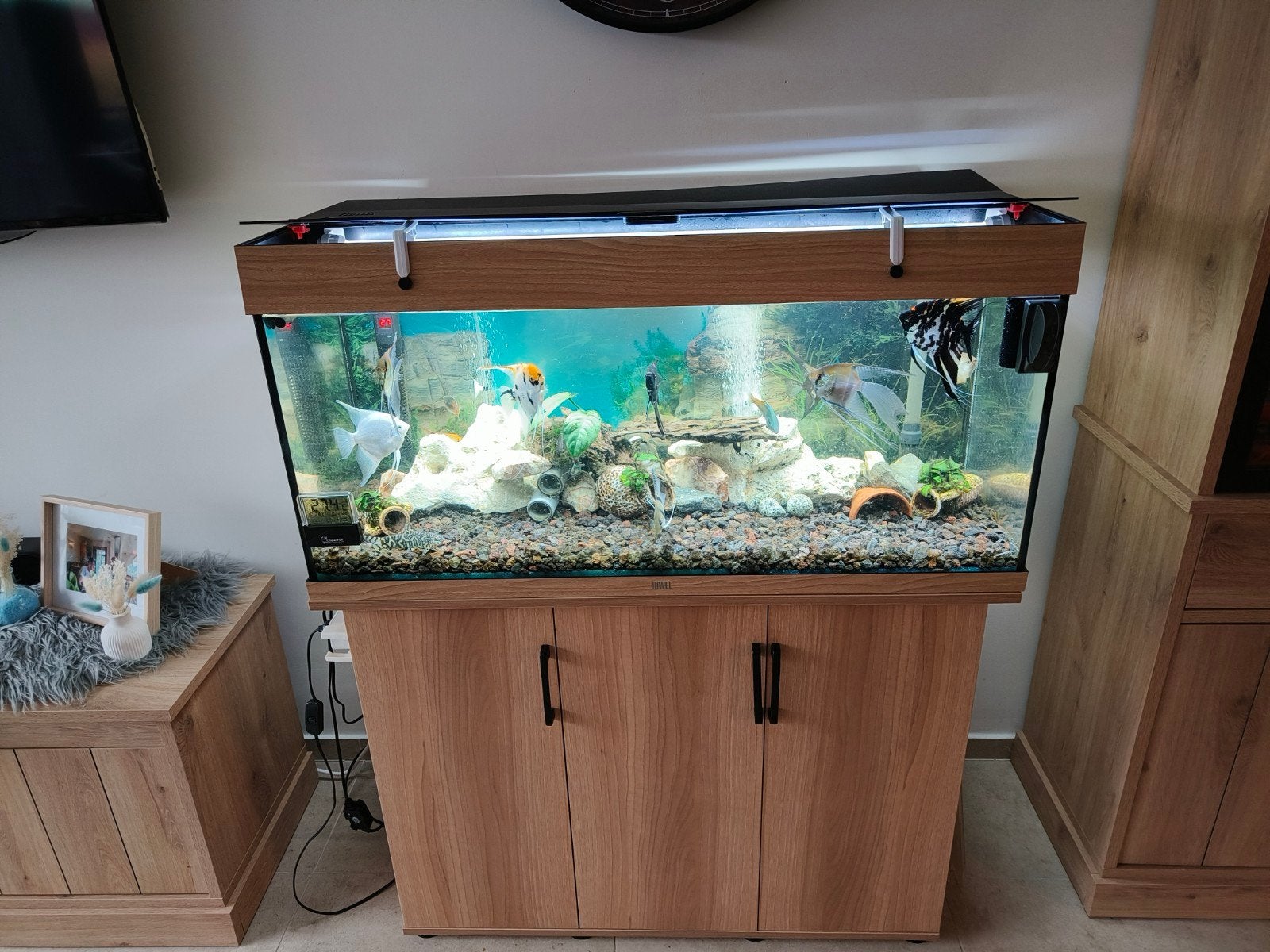 aquarium met meubel, Ophalen, Aquariummeubel, Zo goed als nieuw, Juwel