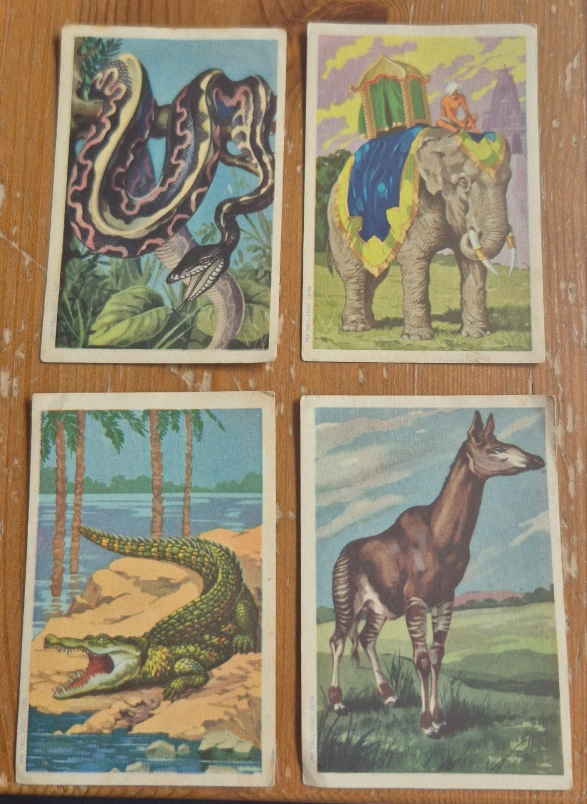 Lot de 4 anciens Chromos Chocolat Casati FR Pictures Animals, Enlèvement ou Envoi, Comme neuf, Plusieurs images