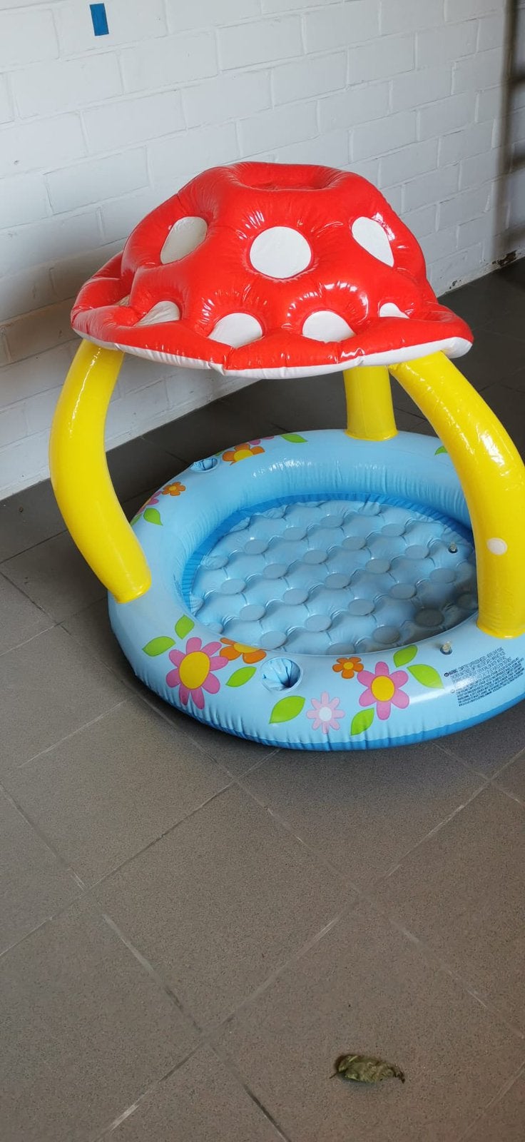 Intex zwembad paddestoel, Ophalen, Zo goed als nieuw
