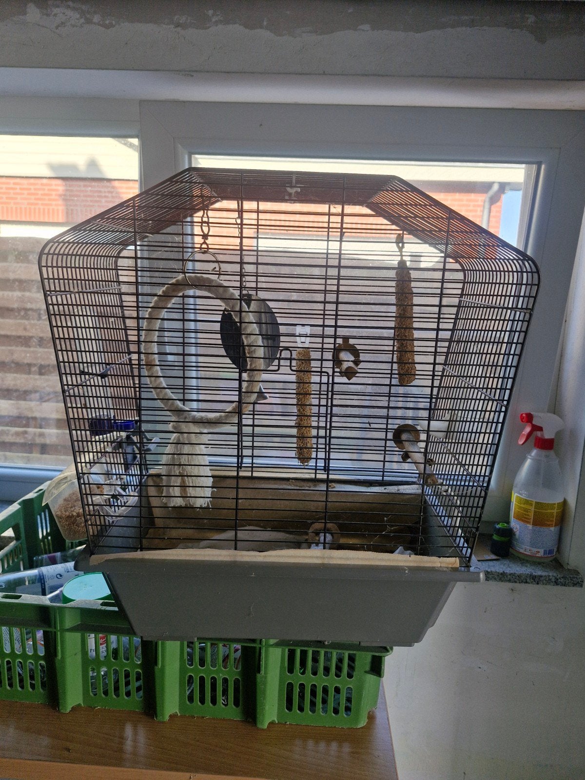 Vogelkooi, Enlèvement, Comme neuf, Métal, Cage à oiseaux