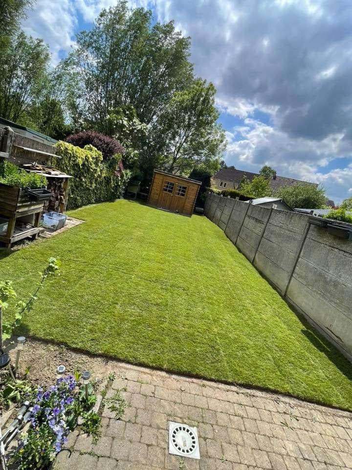 création de jardin pelouse en rouleau, Enlèvement, Neuf, 20 m² ou plus, Herbe