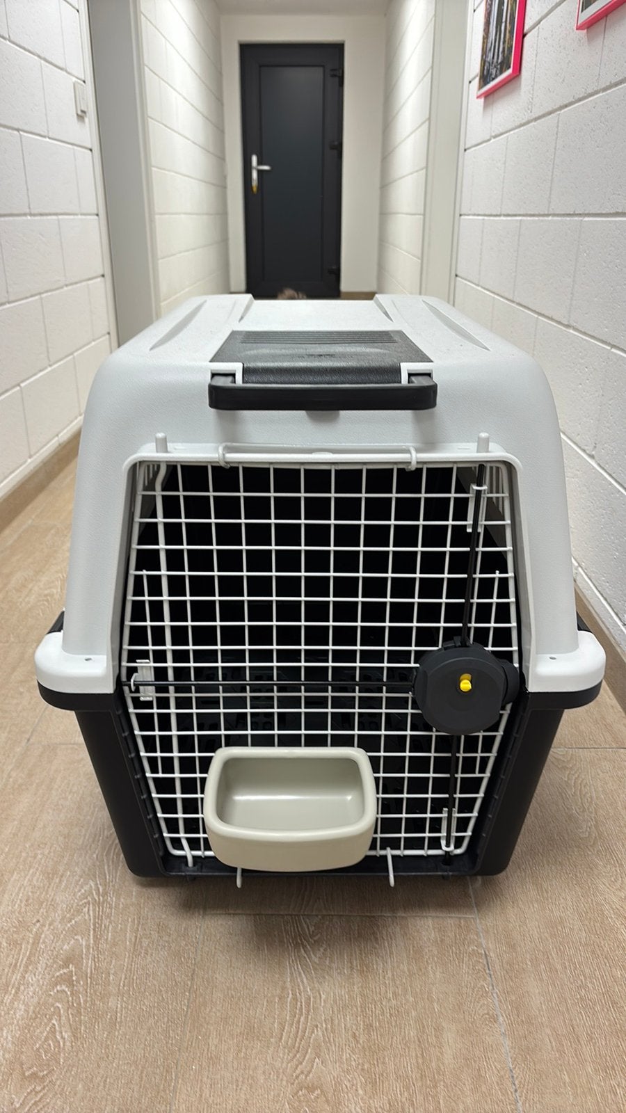 Cage de transport Ferplast, Animaux & Accessoires, Boîtes de transport, Enlèvement, Comme neuf