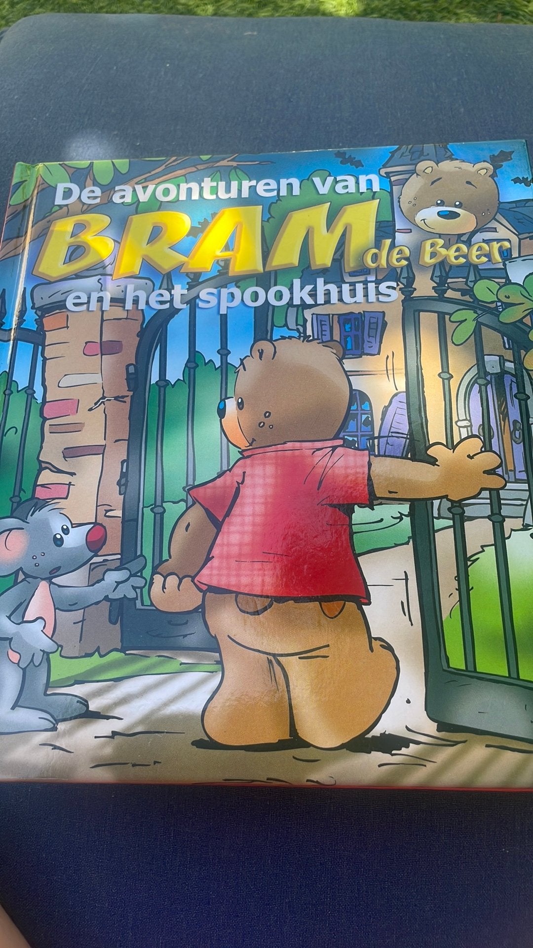 Bram de beer, Boeken, Ophalen, Zo goed als nieuw