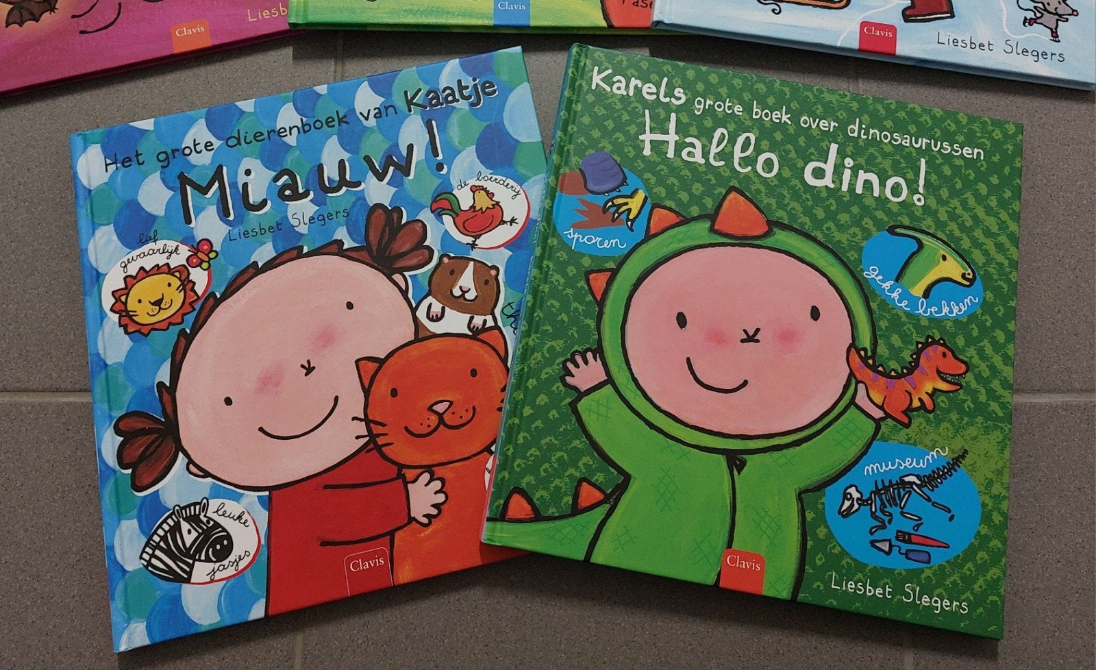 Boeken Liesbet Slegers, Boeken, Ophalen of Verzenden