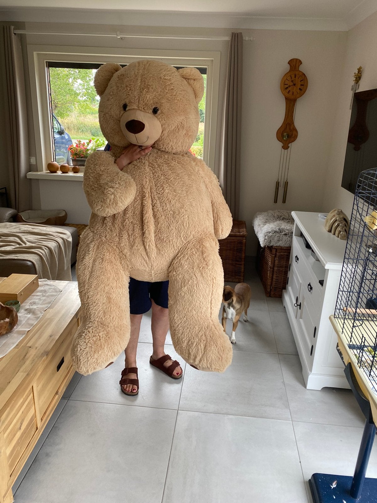 Pluche reuzenbeer 135 cm groot, Ophalen, Zo goed als nieuw