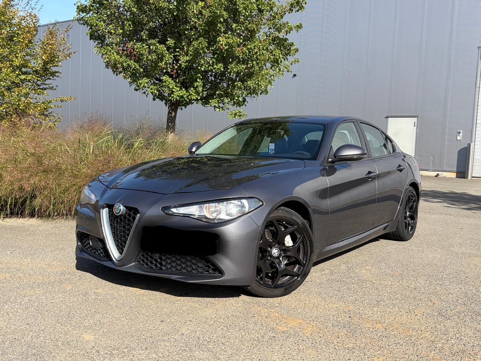 alfa romeo giulia 2.2diesel euro6b, Autos, Achat, Entreprise, Diesel, Giulia