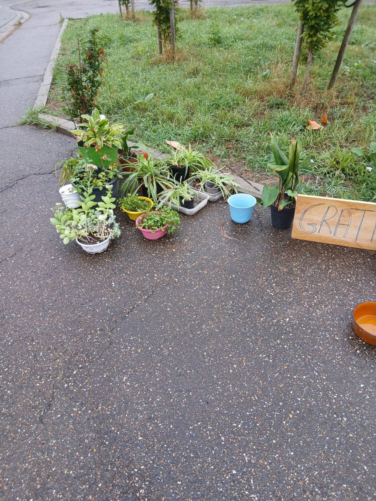 gratis dozen gevuld voor rommelmarkt en plantjes +pot, Ophalen