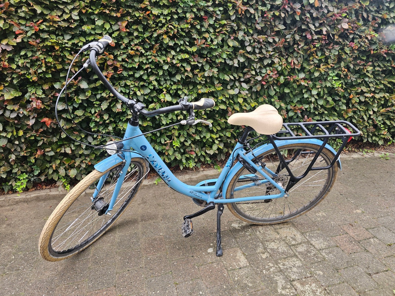 1 jaar oude fiets, Enlèvement
