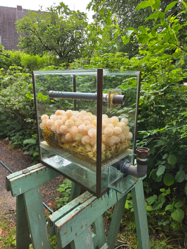 Biologische aquarium filter 45cmx50x29, Enlèvement, Pompe, Filter
