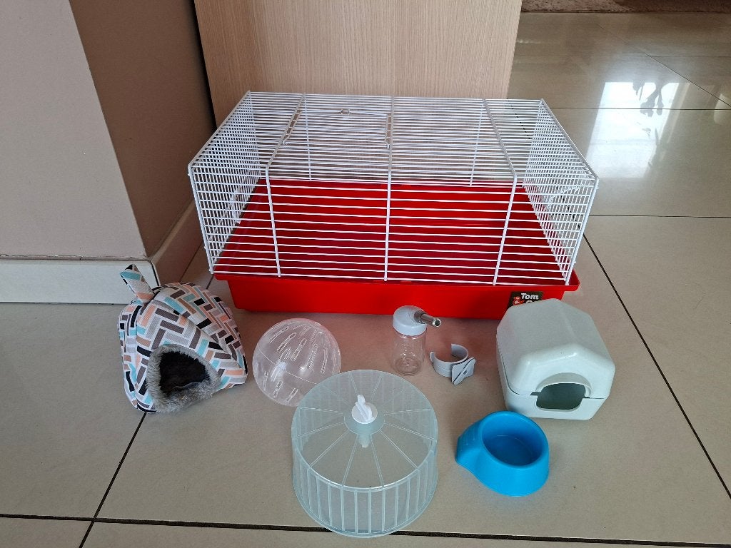 Hamsterkooi met accessoires, Minder dan 75 cm, Zo goed als nieuw, Ophalen, Minder dan 60 cm