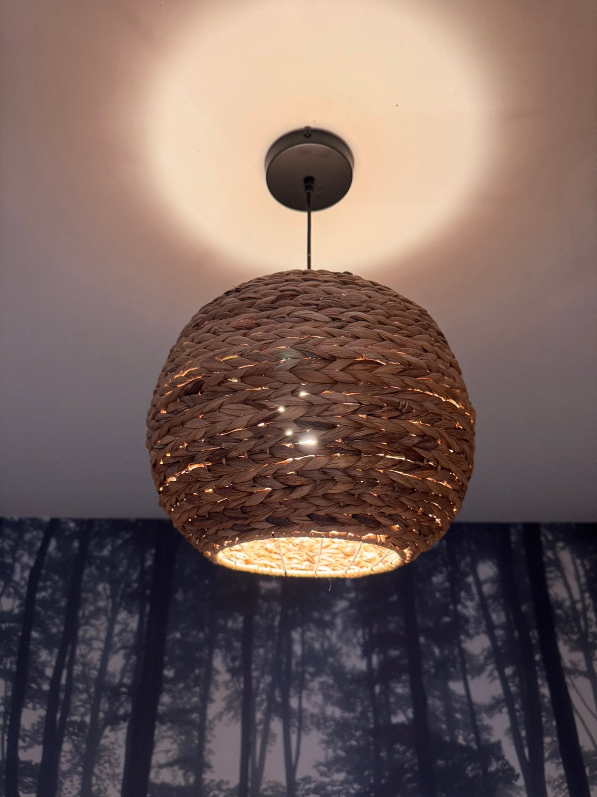 Hanglamp riet, Huis en Inrichting, Lampen | Hanglampen, Ophalen, Zo goed als nieuw, Natuurlijk materiaal