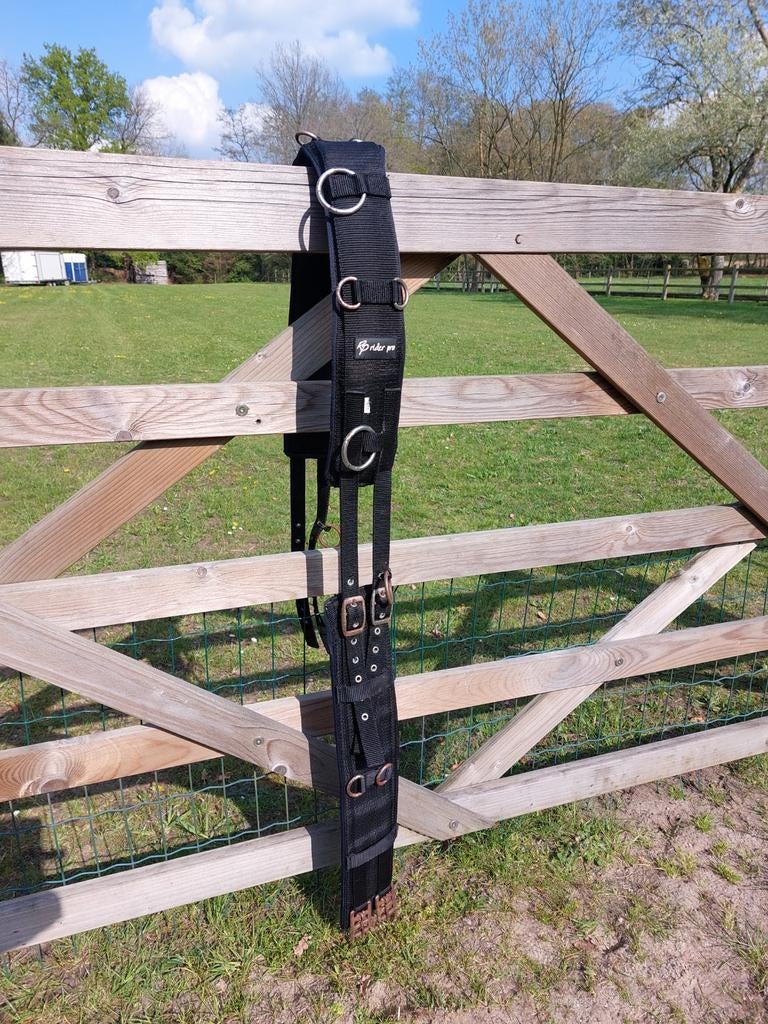 Longeersingel maat cob, Dieren en Toebehoren, Ophalen