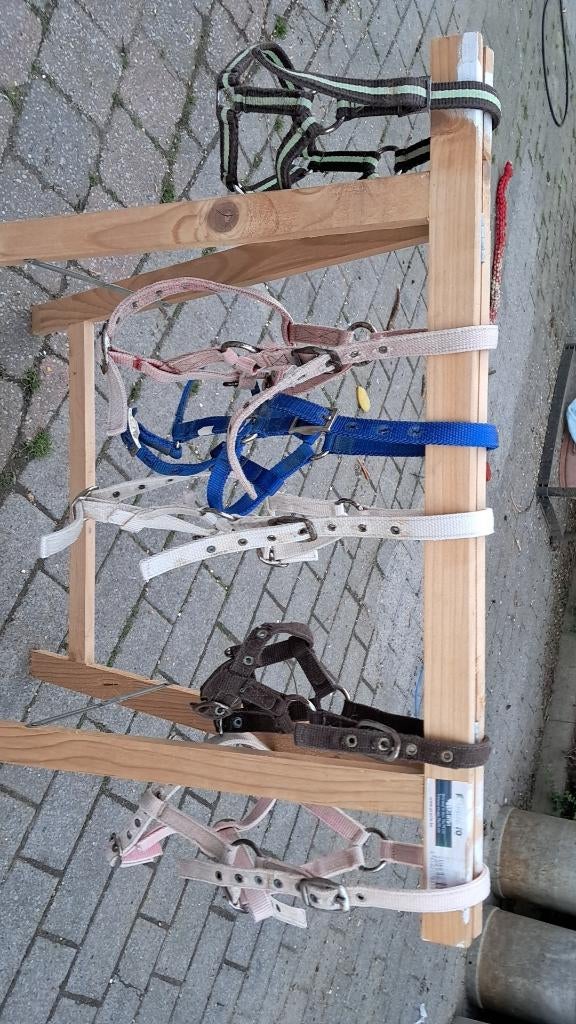 Veulen halsters mini shet, Dieren en Toebehoren, Ophalen, Gebruikt, Recreatie