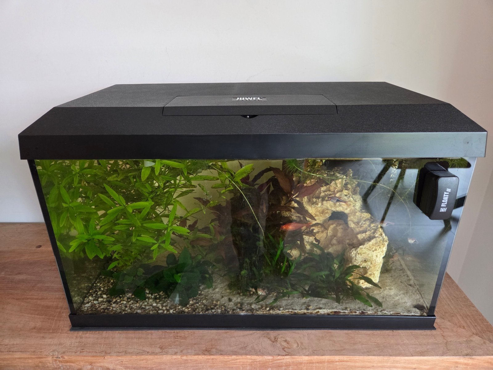 kant en klare visbak, Animaux & Accessoires, Couvercle inclus, Comme neuf, Enlèvement, Juwel