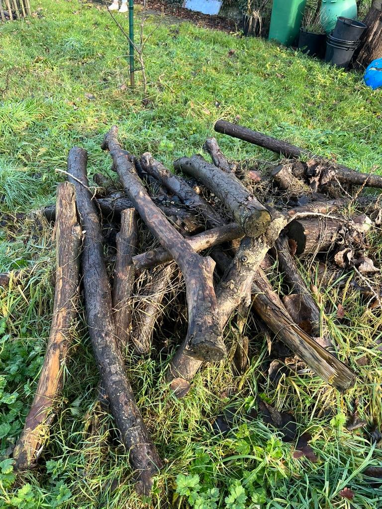 Gratis brandhout, Tuin en Terras, Ophalen
