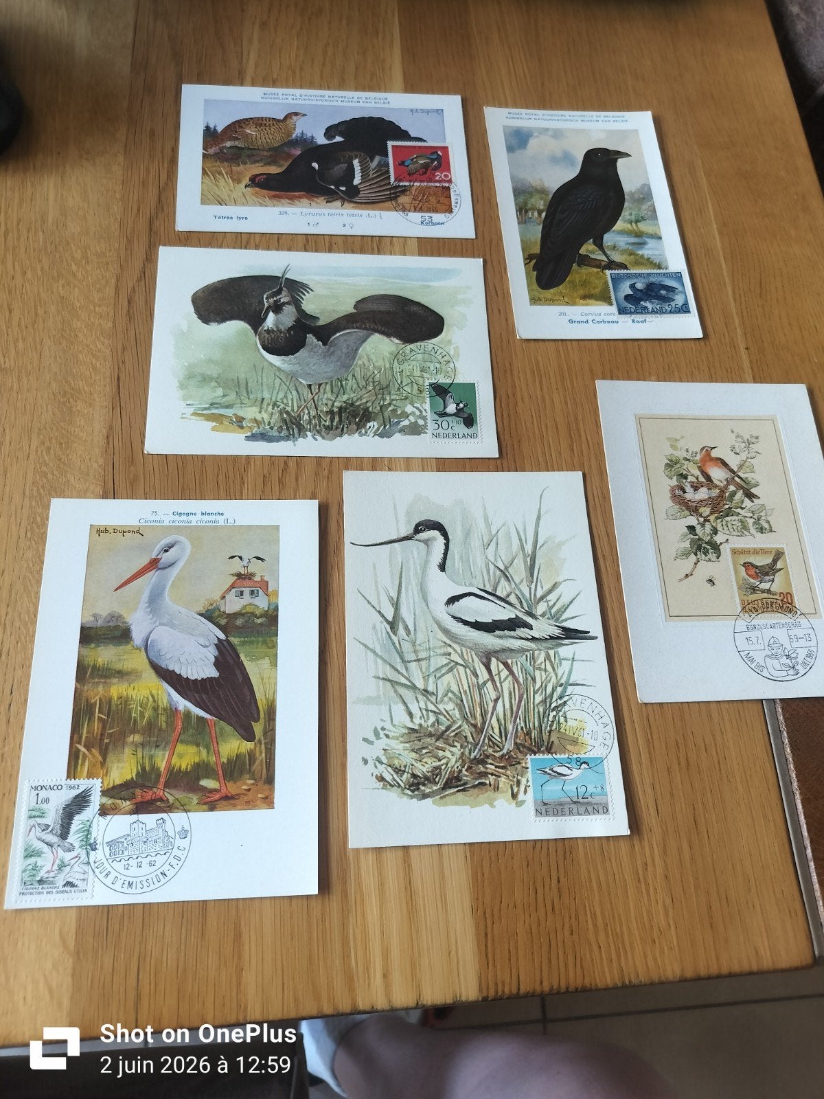 Cartes postales de collection, Verzamelen, Postkaarten | Dieren, Ophalen