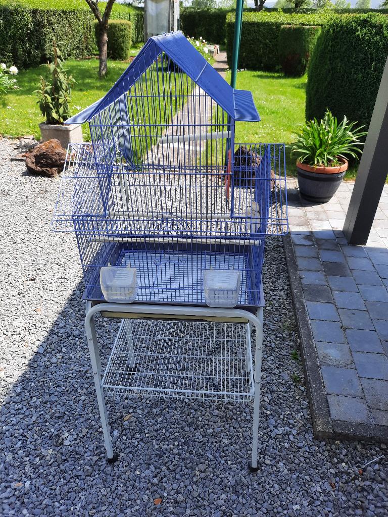 cage à oiseaux, Animaux & Accessoires, Enlèvement, Utilisé, Métal, Cage à oiseaux