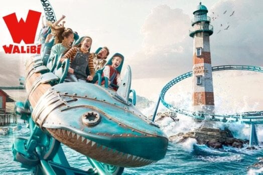 4 tickets walibi belgium, Drie personen of meer, Ticket of Toegangskaart