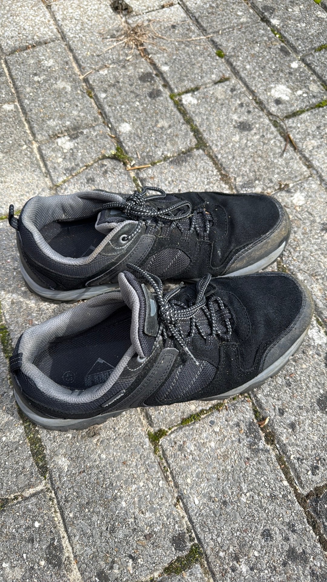 Chaussures de marche basses taille 45, Chaussures de marche, Enlèvement, Porté, Noir