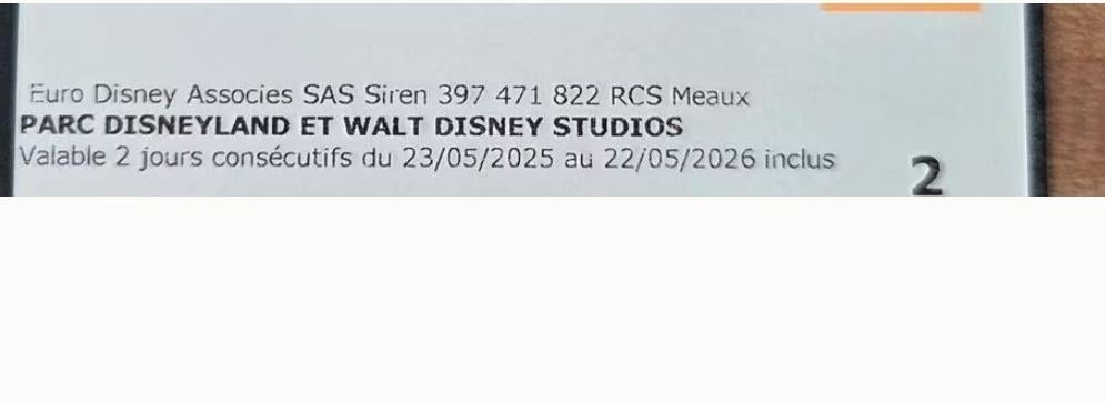 Ticket Disneyland 2 jours 2 parcs, Tickets & Billets, Loisirs | Parcs d'attractions, Ticket ou Carte d'accès