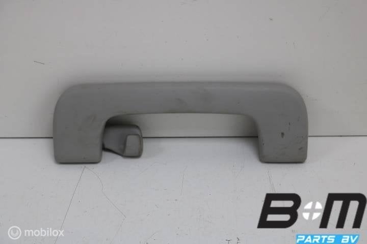 Handgreep in hemel rechtsachter Audi A4 8E B7 8E0857608C, Gebruikt