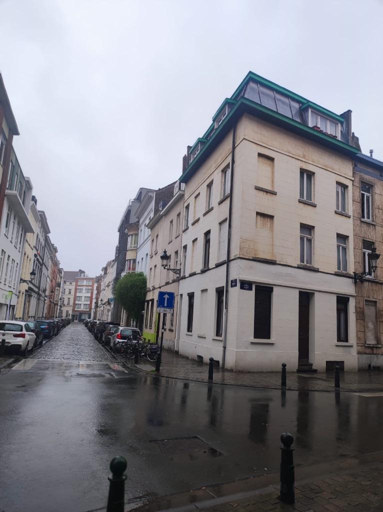 Immeuble de rapport - Centre de Bruxelles, 200 à 500 m², Bruxelles, 200 m², Bruxelles