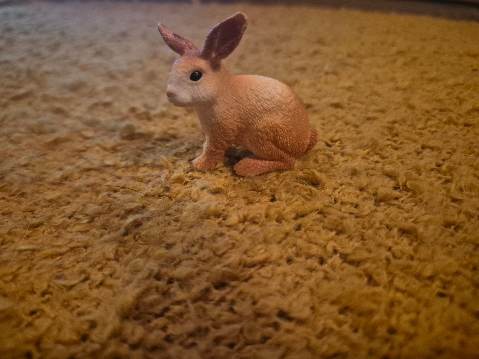 schleich konijn, Collections, Envoi