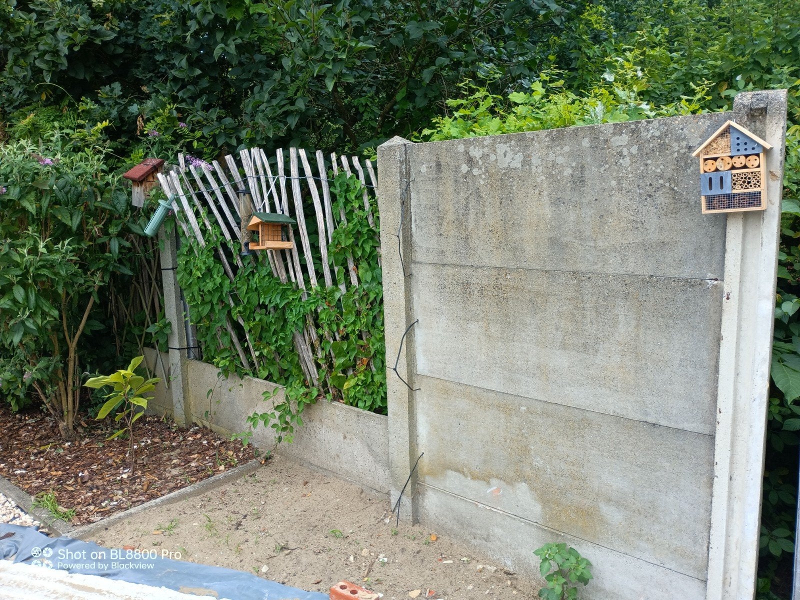 Gratis! betonnen schutting mee te nemen, Tuin en Terras, Ophalen
