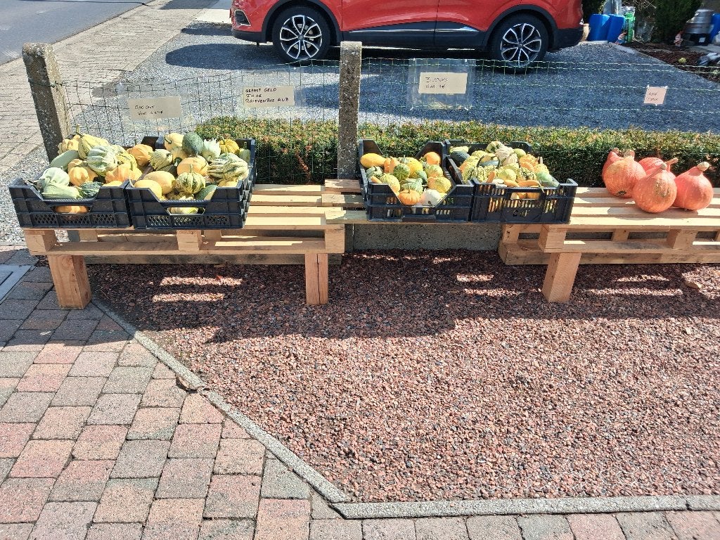 Sierfruit & pompoenen, Ophalen, Nieuw