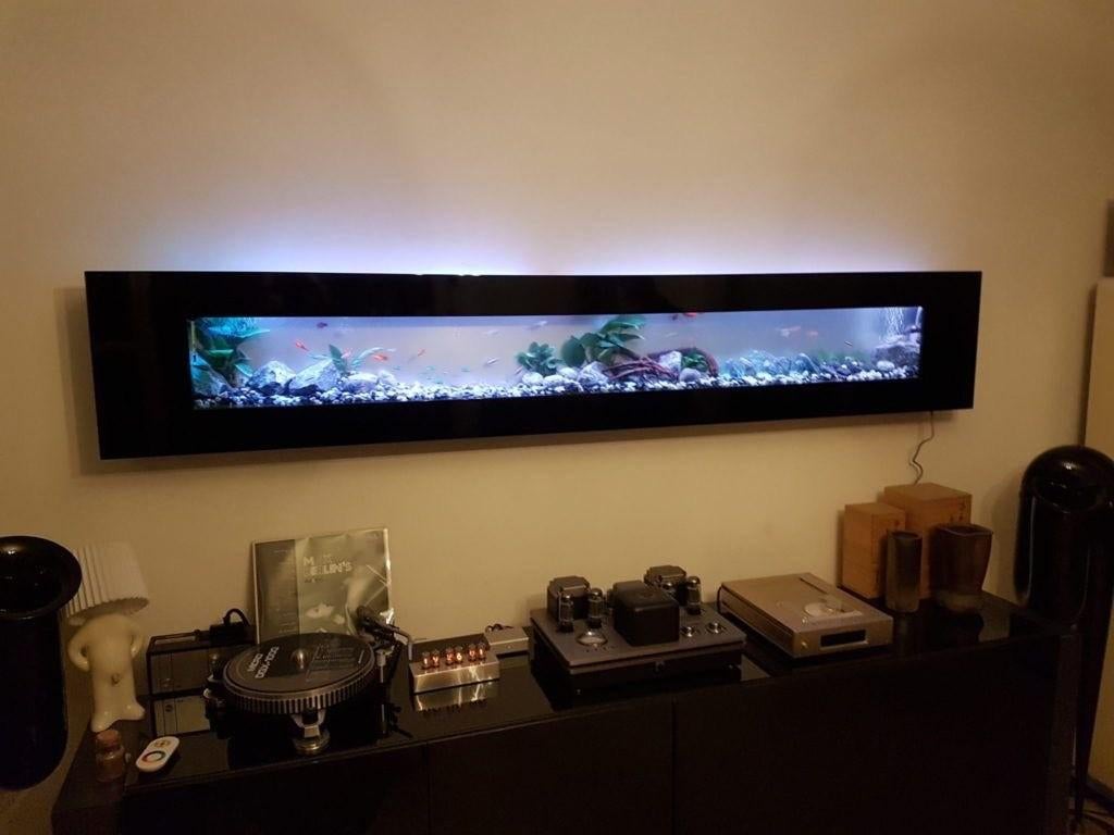 Mur de l'aquarium, Enlèvement, Utilisé