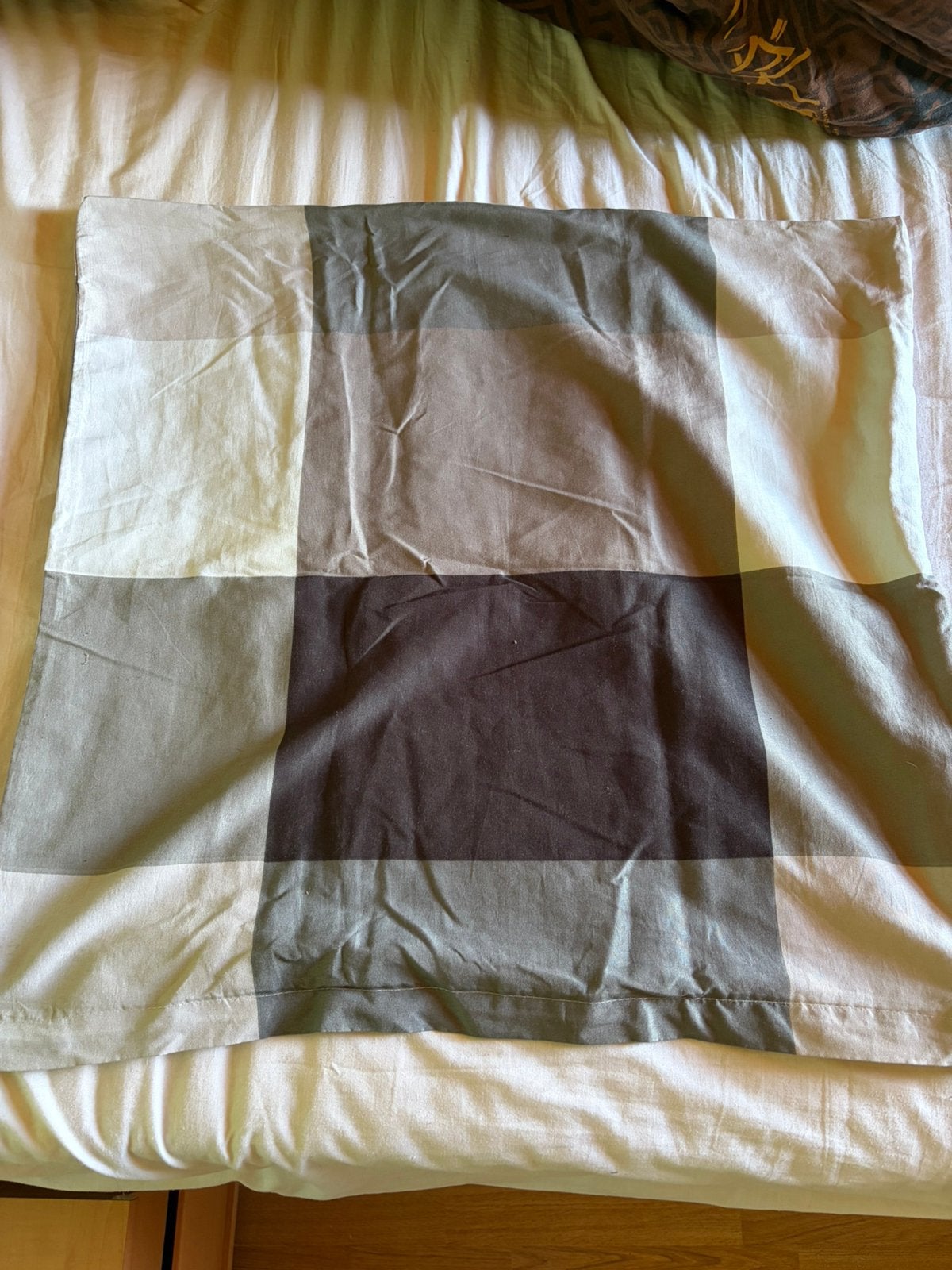 Taie d’oreiller, Neuf, Oreiller, Enlèvement ou Envoi, Beige