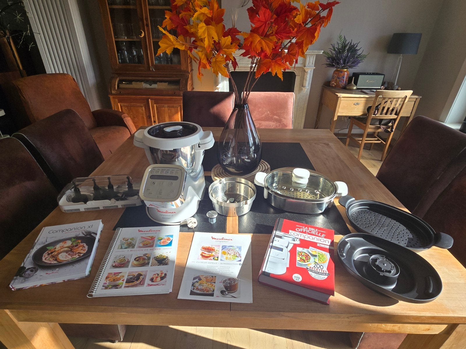 Moulinex Companion XL + Cuiseur Vapeur XL + 4 Livres (NL/FR), Electroménager, Mélangeurs de cuisine, Enlèvement ou Envoi