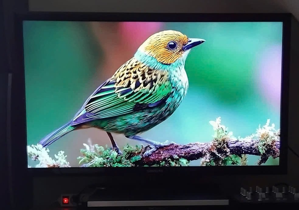Tv Samsung 40" 102cm, TV, Hi-fi & Vidéo, Enlèvement ou Envoi, Utilisé, Full HD (1080p), Samsung