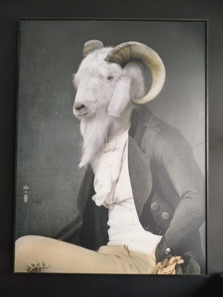 Cadre bouc, Ophalen, Overige materialen, Zo goed als nieuw, 75 tot 100 cm