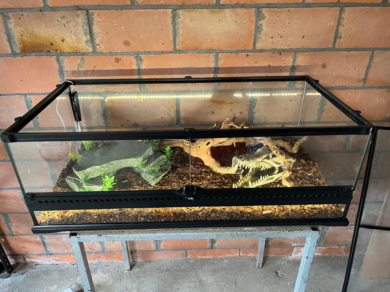 Volledig nieuw terrarium, Dieren en Toebehoren, Ophalen, Zo goed als nieuw, Verlichting