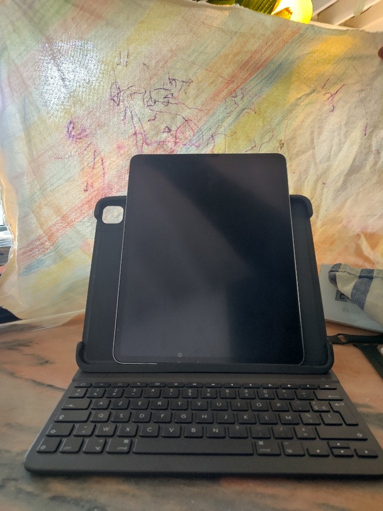 iPad Pro, Computers en Software, Ophalen, Apple iPad Pro, Grijs, Gebruikt