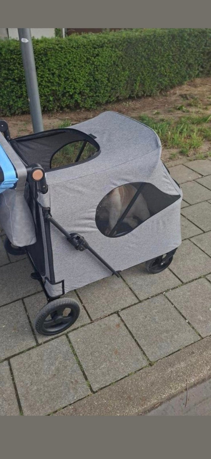 1 maal kunnen gebruiken tot 50 kilo, Dieren en Toebehoren, Ophalen of Verzenden